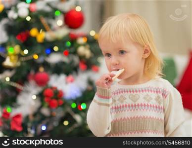 Baby eating Christmas cookies near Christmas tree