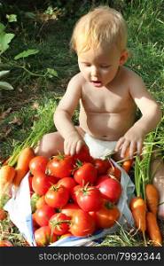 baby eats ripe tomatoes. baby eats ripe tomato besides of heap of tomatoes and carrots
