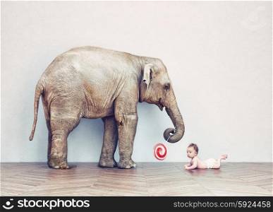 baby elephant and human baby in an empty room. Photo combination concept