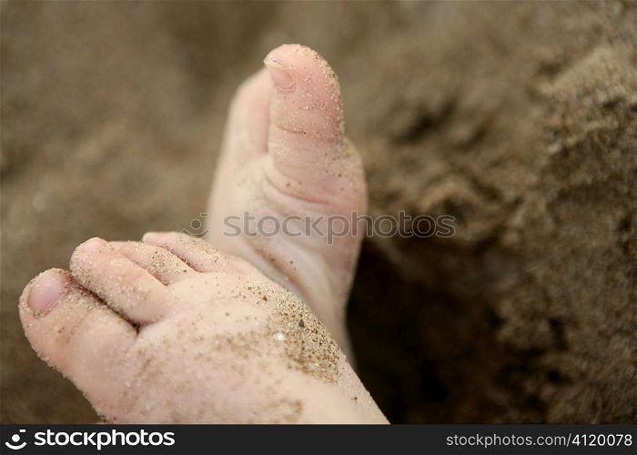 baby feet over the beach sand
