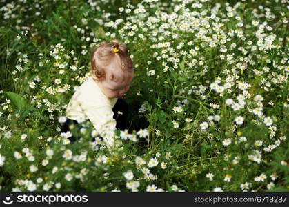 Baby-girl amongst a field with white flowers