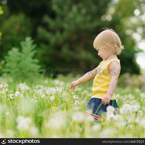 Baby girl playing on dandelions field