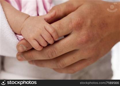 Baby Girl Tiny Hand Holding Rough Finger of Dad.