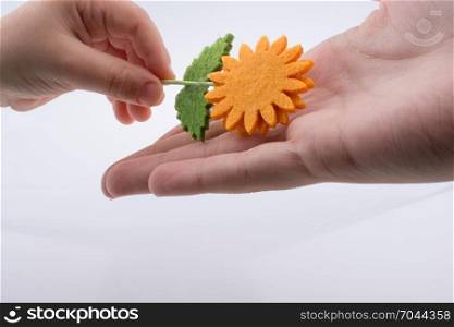 Baby giving a fake flower on a white background