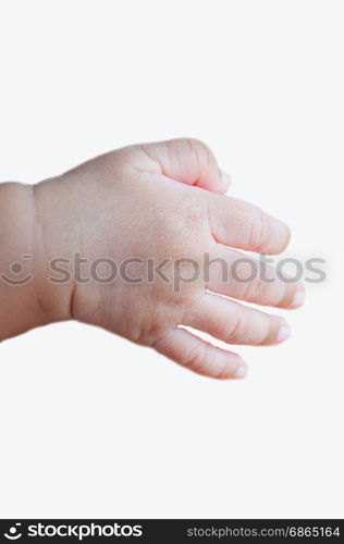 baby hand from new born on white background