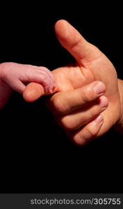 baby hand holding by adult