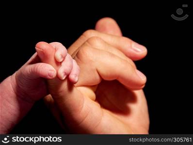 baby hand holding by adult