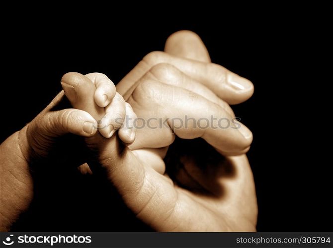 baby hand holding by adult