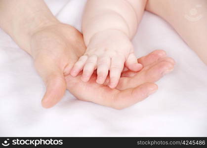 Baby hand holding mother finger isolated on white