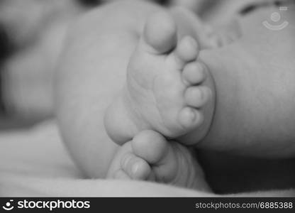 Baby, infant feet black and white photo, beautiful background for card, banner, wallpaper design