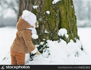 Baby playing with tree in winter . rear view