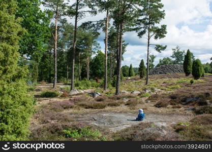Baby sitting in a swedish forest. Baby sitting in a swedish forest with heathland landscape