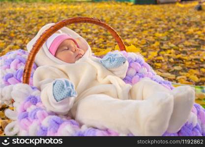 Baby sleeps in basket in autumn park
