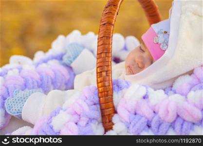 Baby sleeps in basket in autumn park, close up