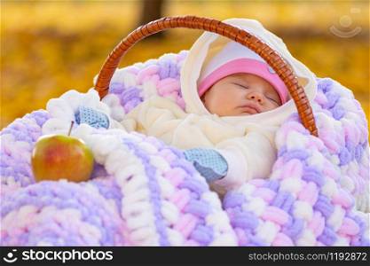 Baby sleeps in basket in autumn park, next to it is an Apple