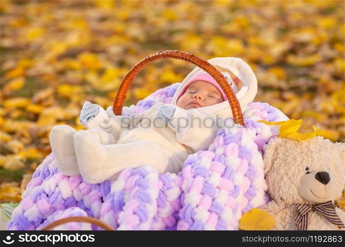 Baby sleeps in basket in autumn park, sitting next to a Teddy bear