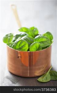 baby spinach leaves in copper pot