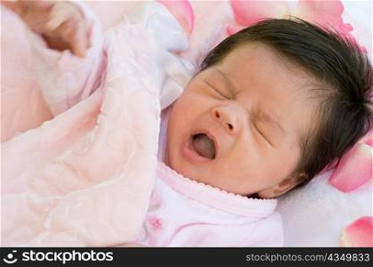 Baby Yawning with Rose Petals
