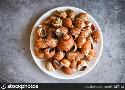 Babylonia areolata shellfish seafood on white plate ready for eat or cooked / Spotted babylon Sea shell limpet