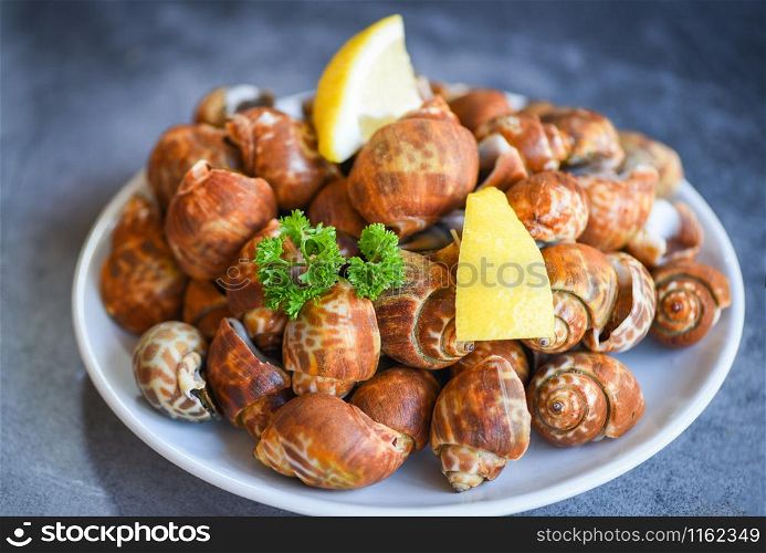 Babylonia areolata shellfish seafood with spices lemon green parsley on plate ready for eat or cooked / Spotted babylon Sea shell limpet