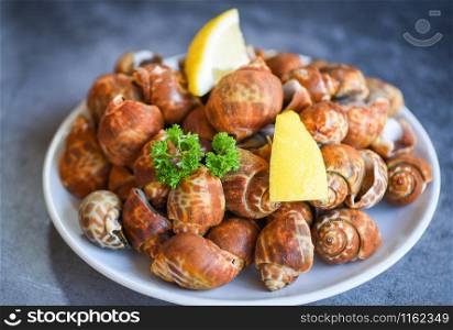 Babylonia areolata shellfish seafood with spices lemon green parsley on plate ready for eat or cooked / Spotted babylon Sea shell limpet