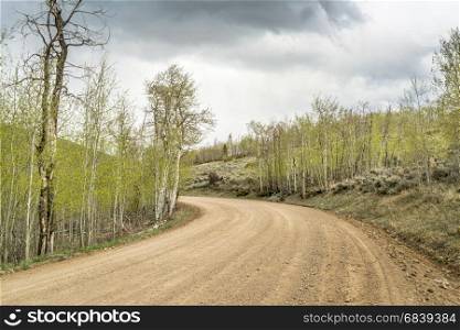back country road through aspen grove with fresh foliage, North Park, Colorado, windy spring scenery
