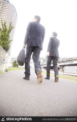 Back figure of Japanese office workers