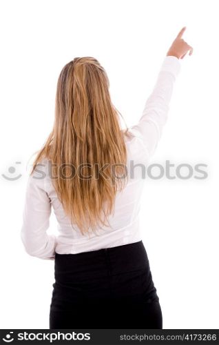 back pose of pointing businesswoman against white background
