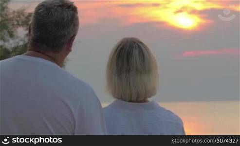 Back shot of senior couple looking at picturesque scene with golden sunset over the sea. Man hugging woman and they enjoying each other and nature