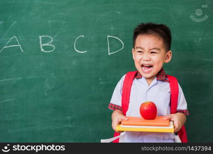 Back to School. Happy Asian funny cute little child boy from kindergarten in student uniform with school bag holding red apple on books smile on green school blackboard, First time to school education