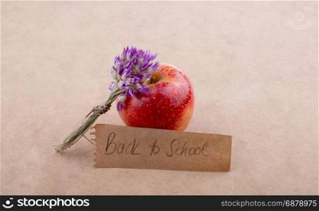 Back to school lettering with an apple and a bunch of flower