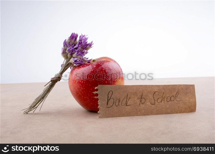 Back to school lettering with an apple and a bunch of flower