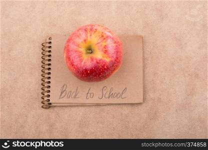 Back to school lettering with with a notebook on ground