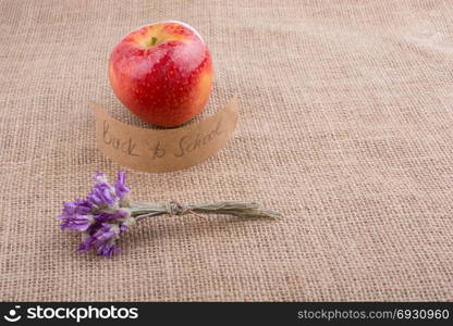 Back to school theme with flower and an apple