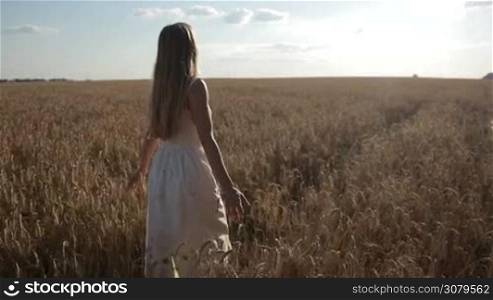 Back view of cheerful long blond hair woman in white dress walking on golden wheat field in summer under blue cloudy sky. Joyful young female with arms outstretched stepping through cereal field, gently touching ears of wheat. Slo mo. Stabilized shot