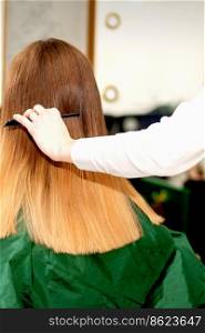 Back view of female hairdresser combing long hair of young blonde client in a beauty salon. Hairdresser combing long hair of client
