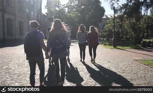 Back view of happy university students walking through the park on their way to college. Group of young college friends walking and talking on cobblestone sidewalk on university campus. Slowmotion. Streadicam stabilized shot.