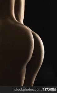 Back view of nude Hispanic mid adult female buttocks.