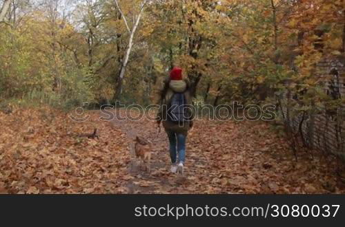 Back view of trendy long brown hair hipster girl with cute pooch doggy running in autumn park. Attractive young woman in stylish outfit with her best friend little puppy taking a walk on park walkway covered with yellow fallen leaves. Slo mo.