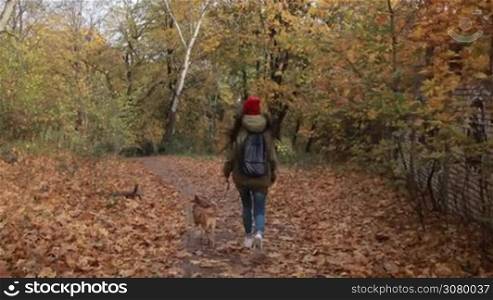 Back view of trendy long brown hair hipster girl with cute pooch doggy running in autumn park. Attractive young woman in stylish outfit with her best friend little puppy taking a walk on park walkway covered with yellow fallen leaves. Slo mo.