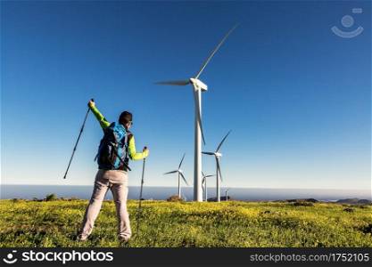 Back view of unrecognizable male explorer standing with trekking poles in raised hand and celebrating victory in meadow with windmills on sunny day on Lanzarote. Joyful traveling man celebrating success in meadow with windmills