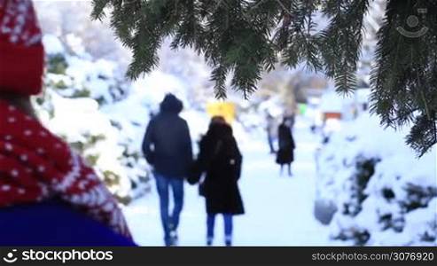 Back view of woman wearing cobalt coat and winter knitted accessories strolling in the park during wintertime. Rear view of woman walking along snowy street in the park with fir and pine trees. Foreground winter pine branch.