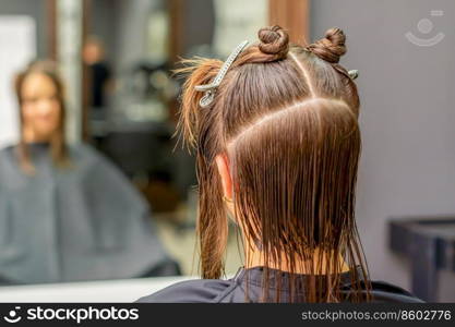 Back view of young brunette woman with split hair in sections in a hair salon. Brunette woman with split hair