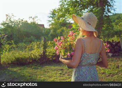 Back view of young woman in summer dress wearing hat carry two pots of flower plants in her yard in summer day spring autumn taking care of the plants in the pot