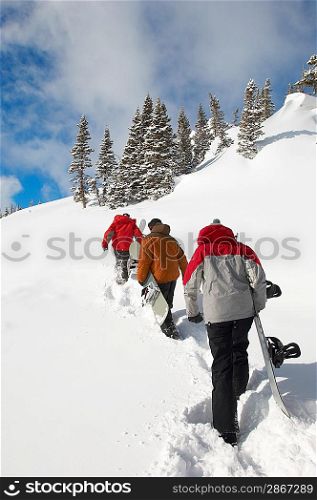 Backcountry Snowboarders Hiking up a Slope