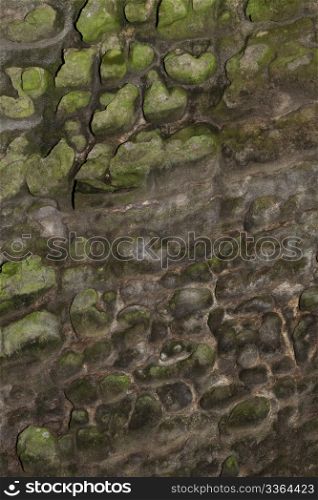 background abstract wheathered sandstone. background or texture of abstract wheathered sandstone with some moss
