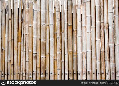 Background and pattern of the old bamboo fence line.