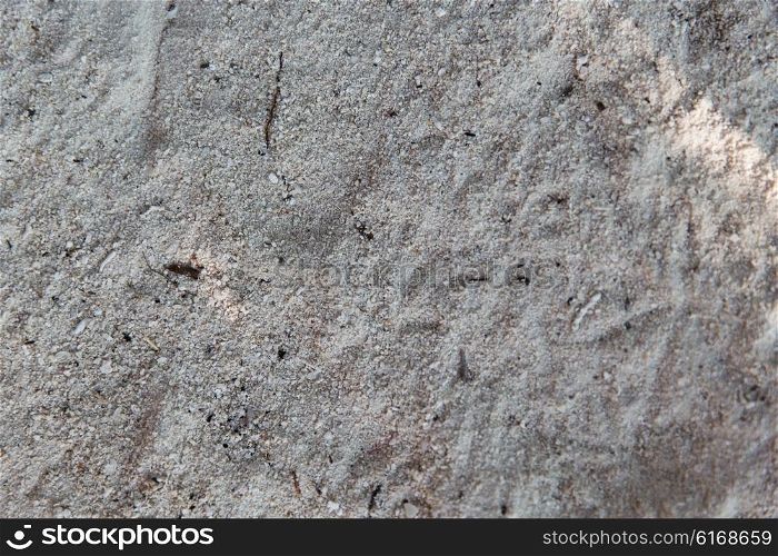background and texture concept - close up of sand surface. close up of sand surface