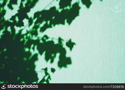 Background and texture of a mint wall of a house with spots of shadow from a tree.