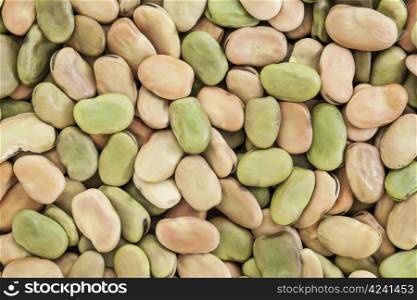 background and texture of dried fava (broad) bean